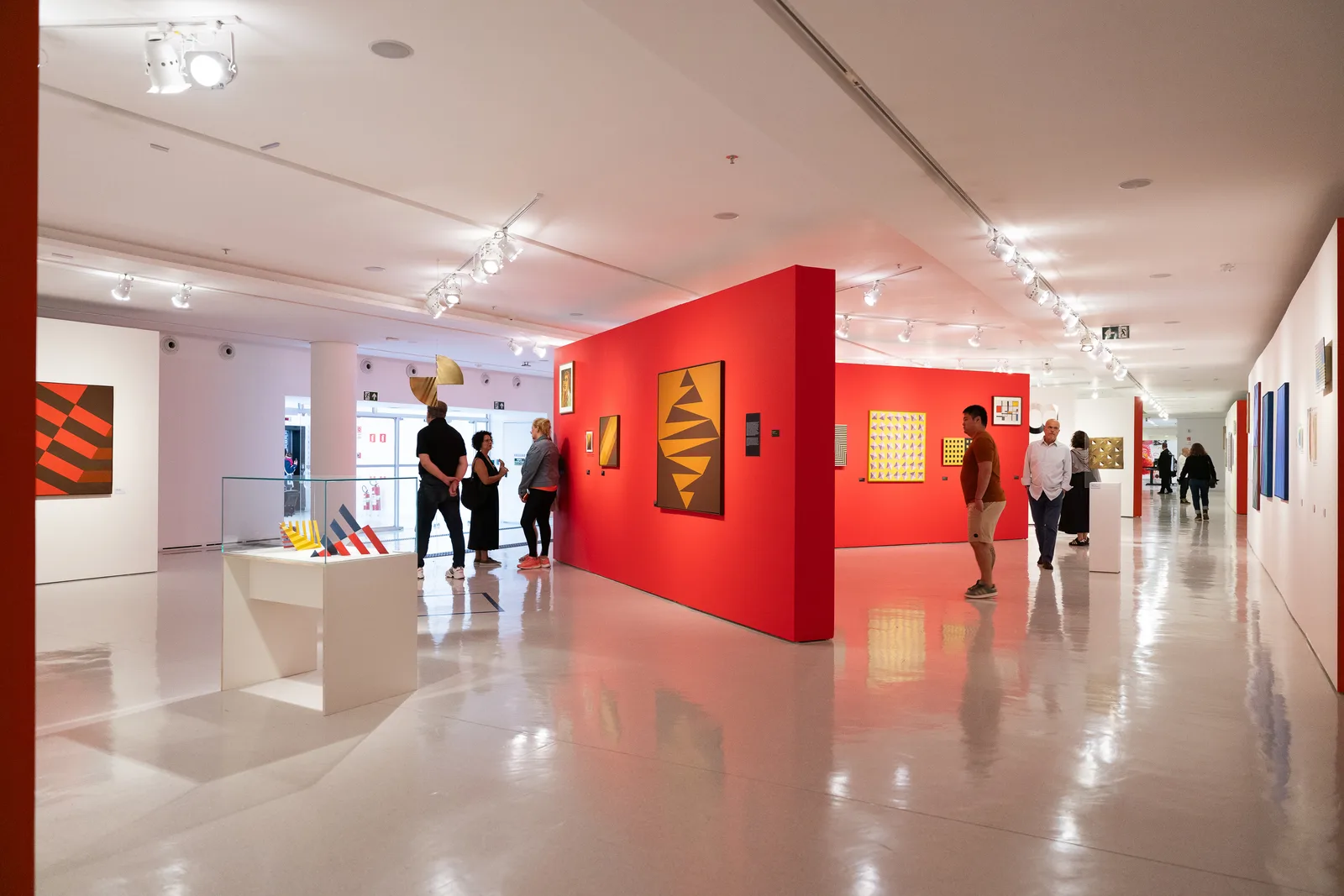 Exposição "Sacilotto Contemporâneo: cor, movimento e partilha", no MAC USP, 2024