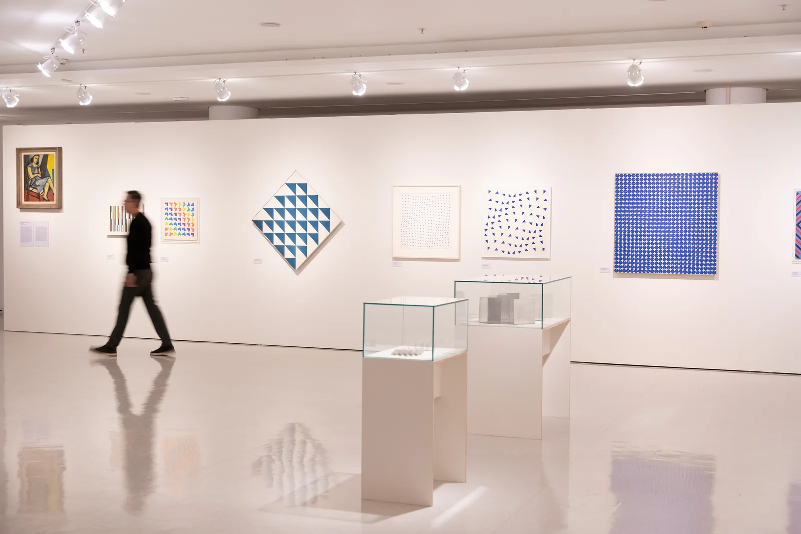 Exposição "Sacilotto Contemporâneo: cor, movimento e partilha", no MAC USP, 2024